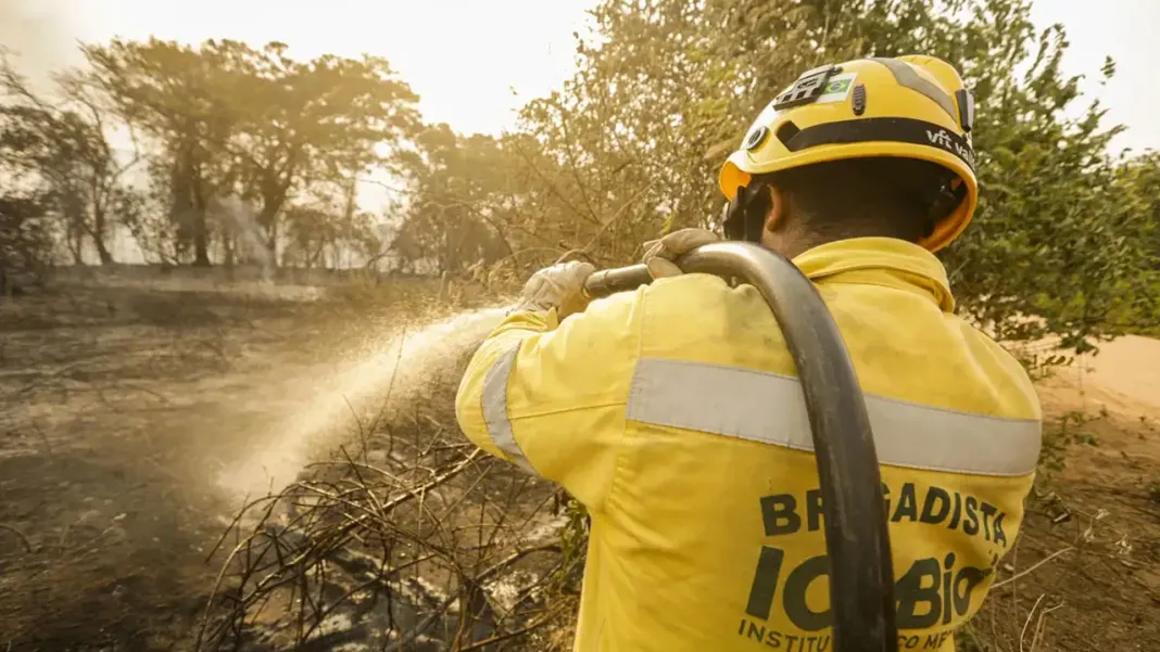 Mais de 17,3 milhões de hectares foram queimados em 2023. Uma área de mais de 17,3 milhões de hectares foi queimada no Brasil em 2023.
