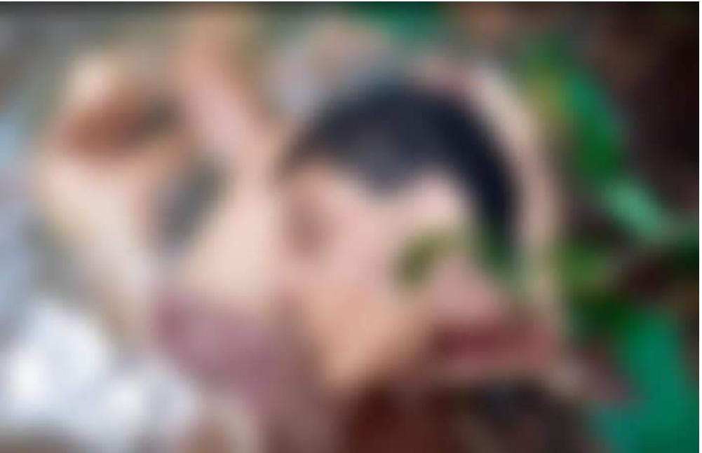 Crime Bárbaro: Dois jovens torturados até a morte Os corpos de dois homens foram encontrados em um igarapé no município de Rio Preto