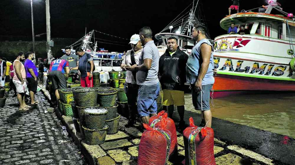 Preço do açaí dispara. Veja a previsão de preços. Uma série de fatores como entressafra, chuvas, atravessadores e até falta de colheita...