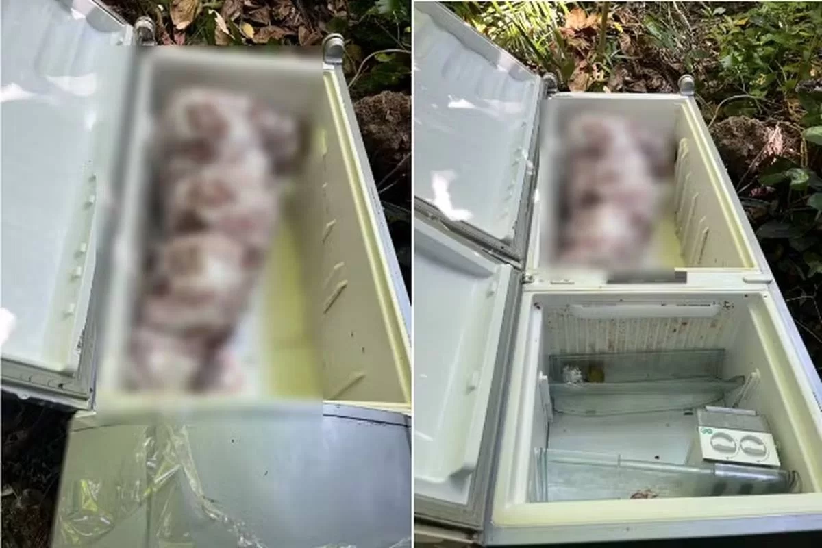 🚨Crime Bárbaro: Mulher encontrada em geladeira foi morta por filha de 13 anos e genro A mulher que foi encontrada dentro de uma geladeira