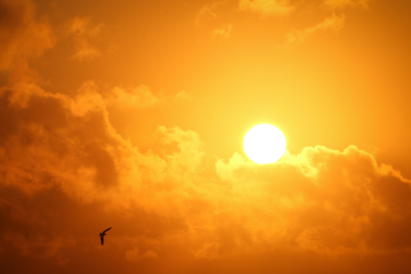 Páscoa de tempo quente e úmido: veja previsão para o feriado em todo Brasil. Mês de março deve terminar com pancadas de chuva...