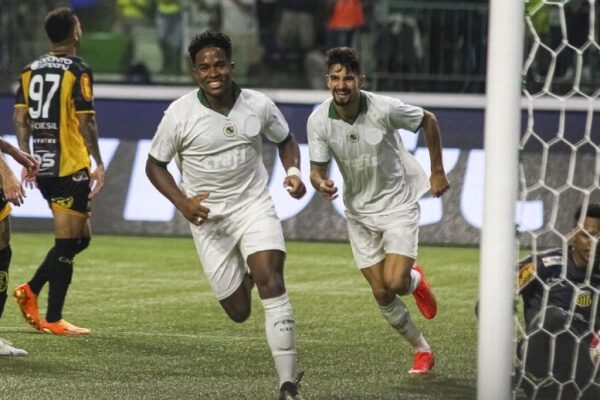 Palmeiras vence Novorizontino com gol de Endrick e enfrenta o Santos na final. Na volta ao Allianz Parque, o Palmeiras confirmou...