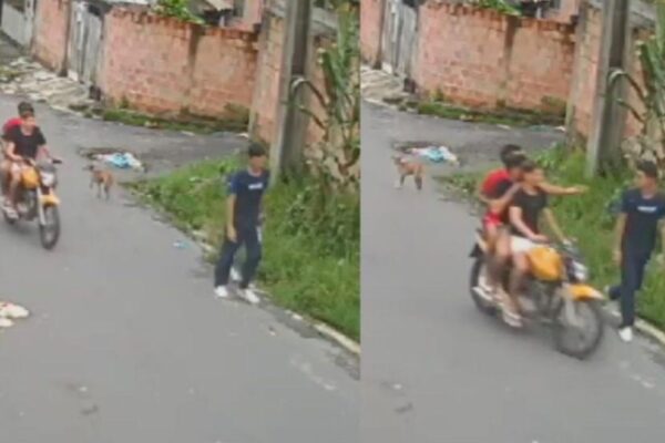 Vídeo: Jovem de 19 anos é espancado pro Trio durante assalto Um vídeo onde mostra um jovem de 19 anos sendo espancado durante um assalto