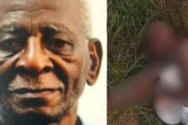 🚨 Vídeo mostra idoso agonizando até a morte após ser atacado por pitbull Jamiro Coelho Ferreira de 77 anos morreu após ser atacado por um