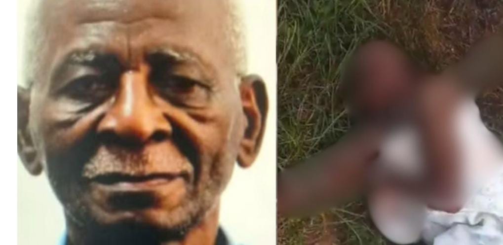 🚨 Vídeo mostra idoso agonizando até a morte após ser atacado por pitbull Jamiro Coelho Ferreira de 77 anos morreu após ser atacado por um