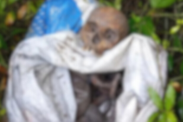 Ossada humana é achada em área de mata de Icoaraci. A Estrada da Maracacuera, em Belém, é a principal via de ligação...