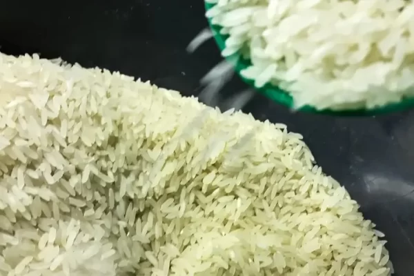 "Crise do Arroz": Arroz tailandês deve ganhar espaço nos pratos brasileiros após chuvas no RS Os principais beneficiados