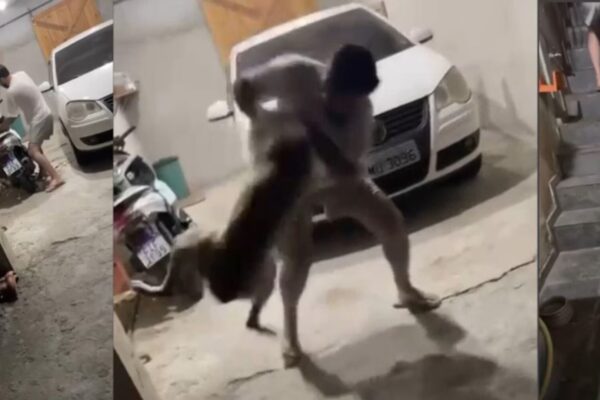 💣😱Cenas fortes: homem agride cão mais de 10 vezes e o joga no chão; Veja o Vídeo💣😱 Um homem, cuja identidade ainda não foi informada