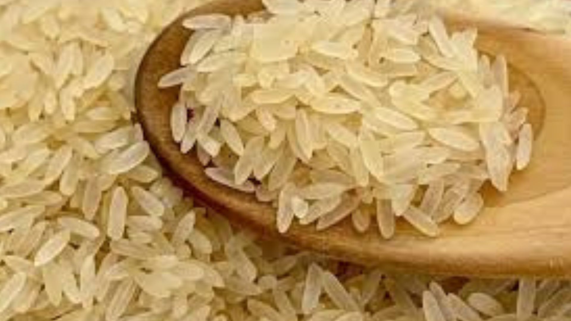 Economia: Governo importa 263 mil toneladas de arroz e anuncia novo leilão Após impasse, o governo federal realizou leilão nesta manhã