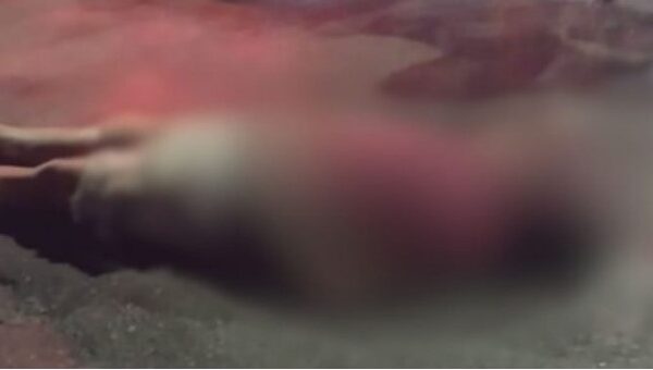 🚨CENAS FORTES: População se revolta com ladrão e deixa ele no ''bico do urubu''; Veja o Vídeo😱 Na noite deste sábado (20), um ladrão...