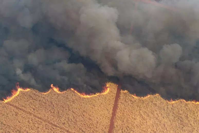 Governo proíbe uso de fogo e decreta situação de emergência no Pará🔥🚨 O governador do Pará, Helder Barbalho, decretou estado de emergência