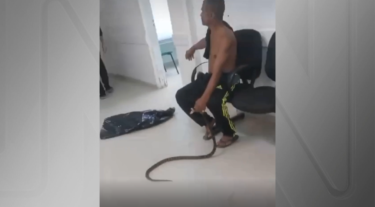 😱🐍 Homem é picado por jararaca e leva serpente para UPA Um homem, de 58 anos, levou uma cobra 'para passear' em Guarujá, no Litoral