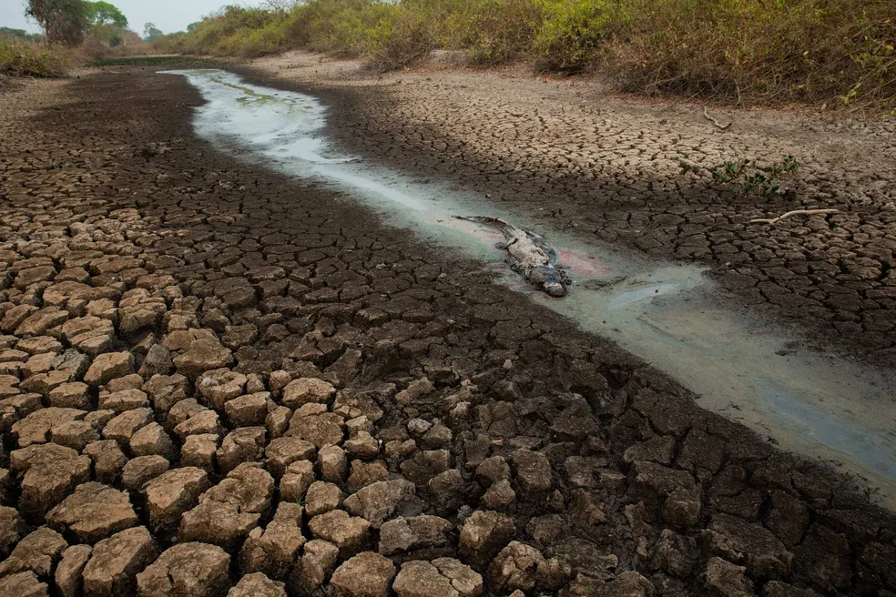 🚨😱Redemoinho de fogo: Nova onda de queimadas no Pantanal tem redemoinho e ribeirinhos ilhados Os incêndios no Pantanal começaram...