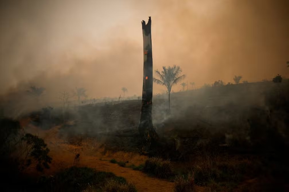 Dias quentes, secos e com fogo mais que triplicam na Amazônia. Nova pesquisa revela que a quantidade de dias com essas condições...