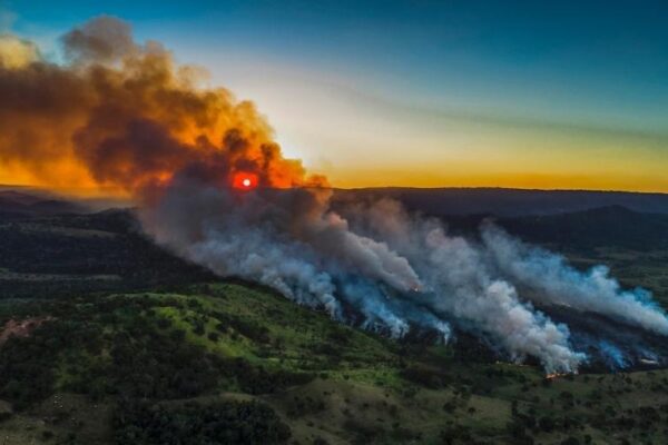 Pará lidera queimadas no Brasil e Helder usa caneta e decreto para combater fogo Enquanto o Pará se vê devastado por incêndios que transformam