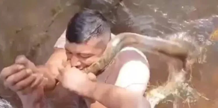 🐍Homem morde sucuri para se livrar de ataque em rio; Veja o Vídeo😱 Em uma cena digna de um épico amazônico com pitadas de comédia