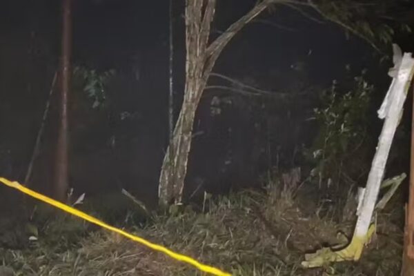 Avião de pequeno porte cai em SP ,ninguém sobreviveu