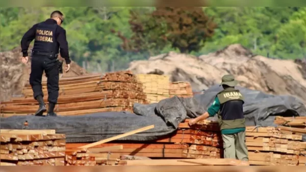 PF: Operação fecha serrarias ilegais em Nova Esperança do Piriá