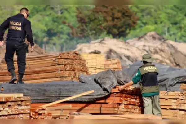PF: Operação fecha serrarias ilegais em Nova Esperança do Piriá