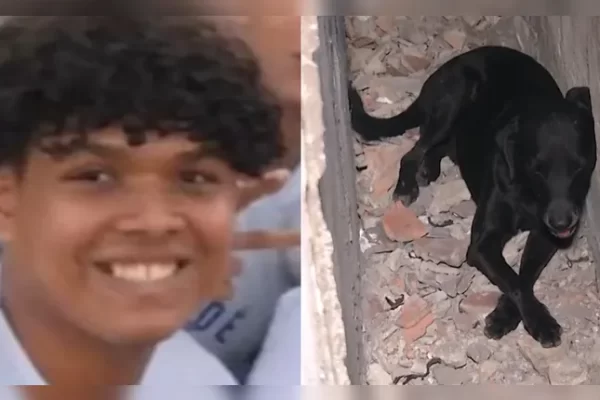 Cachorro é baleado durante tentativa de roubo que resultou na morte de um jovem. Bala ficou alojada na costela do animal, que precisa...