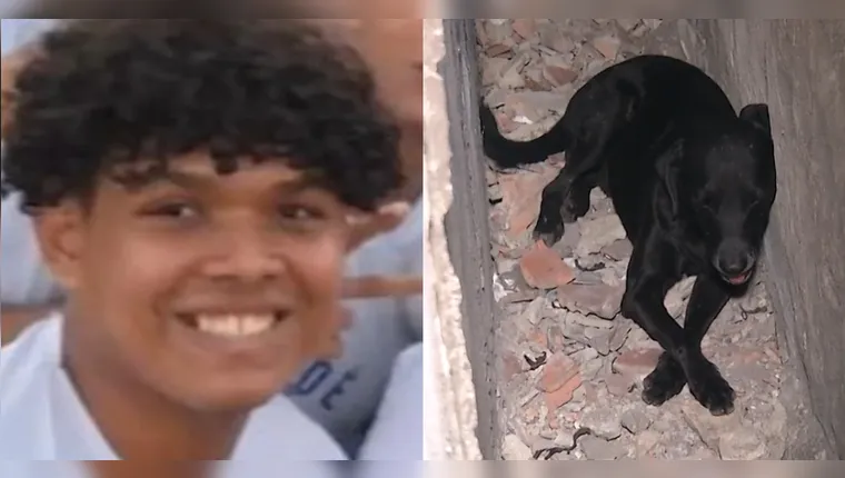 Cachorro é baleado durante tentativa de roubo que resultou na morte de um jovem. Bala ficou alojada na costela do animal, que precisa...