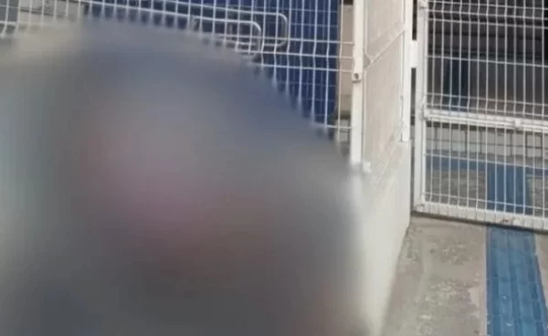 Homem leva mãe de 97 anos já morta à sede do MPF em São Luís em busca de atendimento. SÃO LUÍS - Um homem de 53...