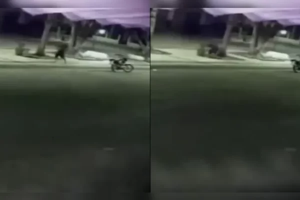 Homem é flagrado ao tentar furtar vaso de praça. Câmera de segurança flagou a ação de um homem em uma moticicleta...