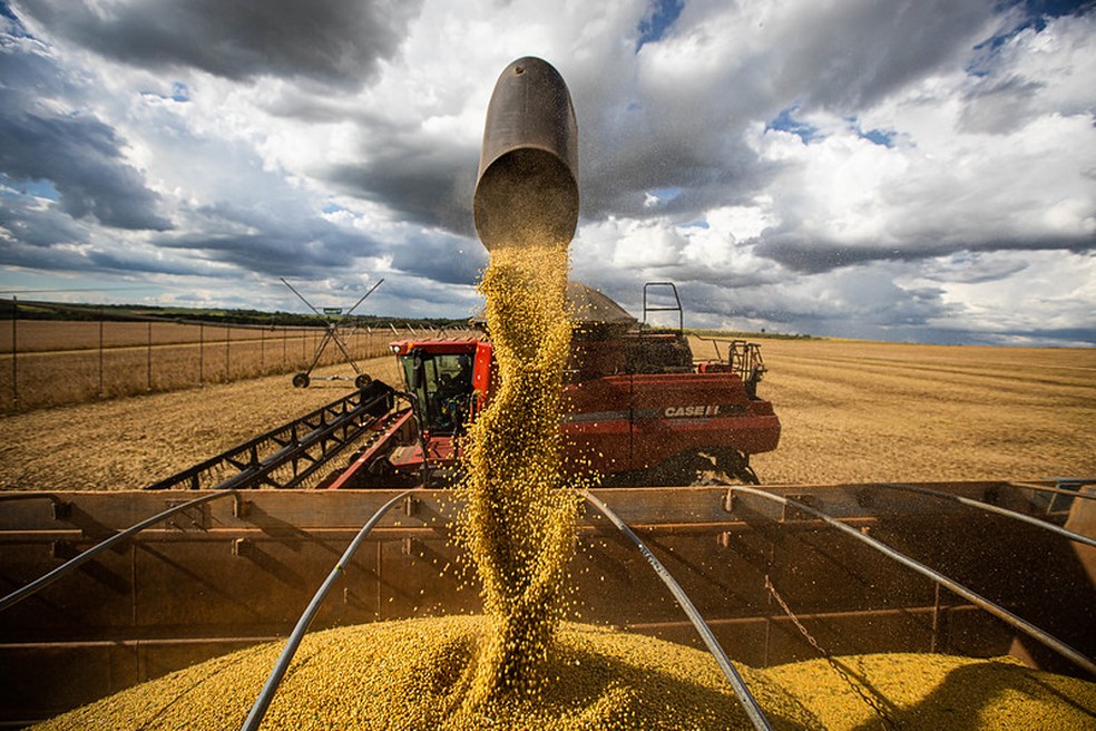 Trump quer taxar produtos importados e agro brasileiro poderia se dar bem com isso. Uma possível guerra comercial deve atingir...