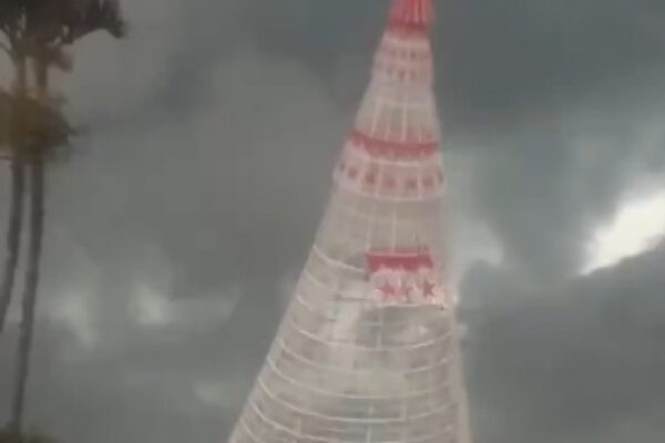 MPRJ investiga queda de árvore de natal que resultou na morte de jovem