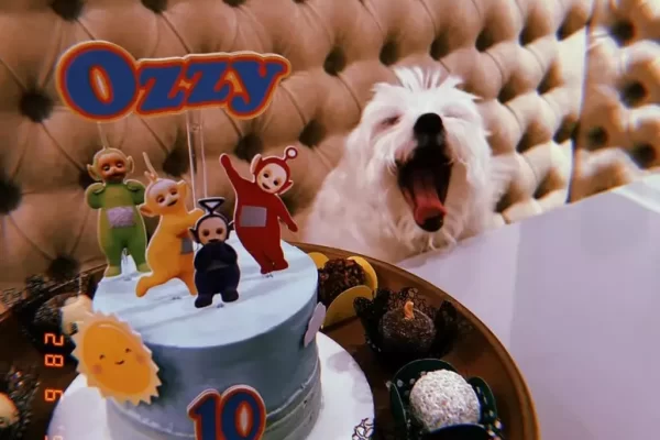 Vídeo que mostra Ozzy, de 10 anos, tem cerca de 6,7 milhões de visualizações. Uma cena emocionante viralizou nas redes sociais...