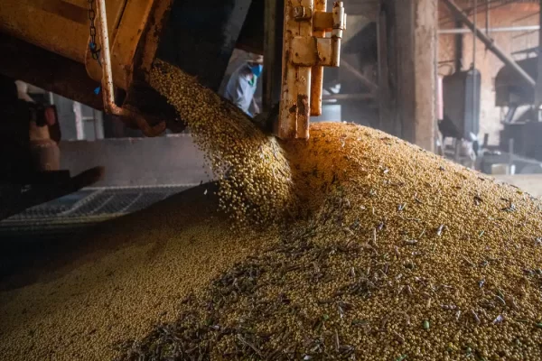 Os Governos do Pará e Maranhão irão taxar a exportação de soja por saca