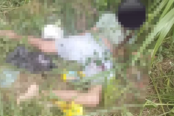 O ocorrido se deu no município de São Félix do Xingu, no sul paraense, na tarde da última quinta-feira (16)...