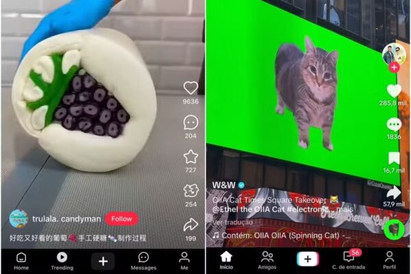 Com vídeos curtos e uma loja on-line integrada, o RedNote conquistou 300 milhões de usuários e agora recebe norte-americanos...