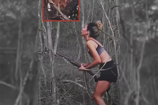 Ibama identificou e multou mulher que filmou matando onça-parda
