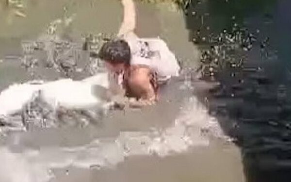 Homem de 29 anos escalou cerca, entrou em área restrita e foi atacado por crocodilo de 4,5 metros enquanto tentava