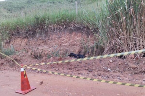 O corpo de uma mulher foi encontrado em chamas na manhã desta quarta-feira (23) em Governador Valadares, no Vale do Rio Doce, em Minas...