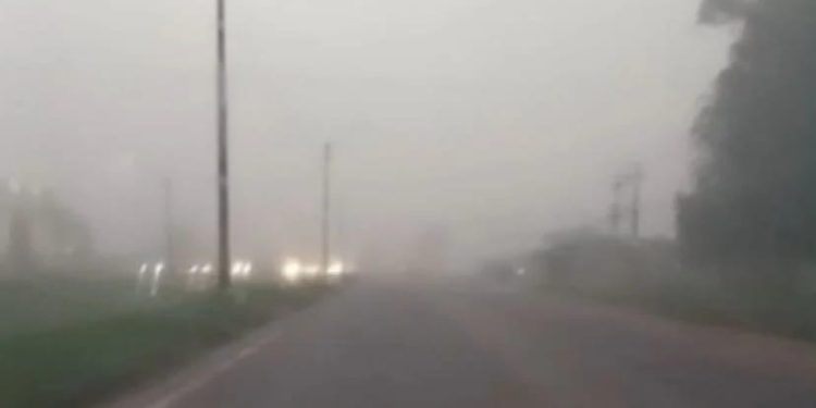Duas pessoas morreram após uma forte colisão entre uma motocicleta e um caminhão-baú, na Alça Viária, próximo a um local...