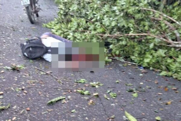 Um motociclista, ainda não identificado, morreu ao colidir com uma árvore caída em uma estrada na saída de São Domingos do...