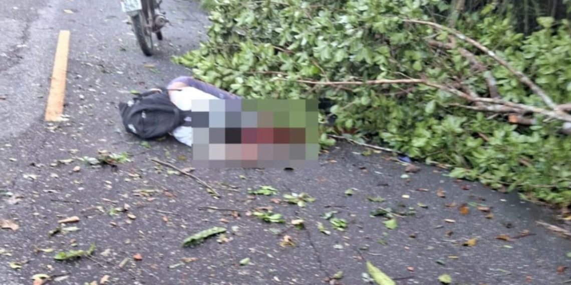 Um motociclista, ainda não identificado, morreu ao colidir com uma árvore caída em uma estrada na saída de São Domingos do...