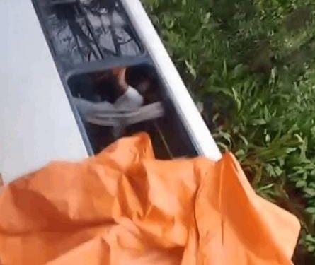 Um ônibus escolar que transportava estudantes da rede municipal caiu dentro de um igarapé, na Comunidade Caeté, em...