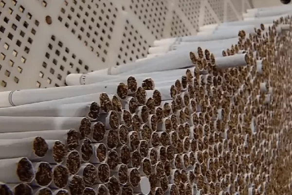 Ano passado, o Brasil somava 72 organizações criminosas e cerca de 30 estavam na regiãoUma nova pesquisa do Instituto Ipec...