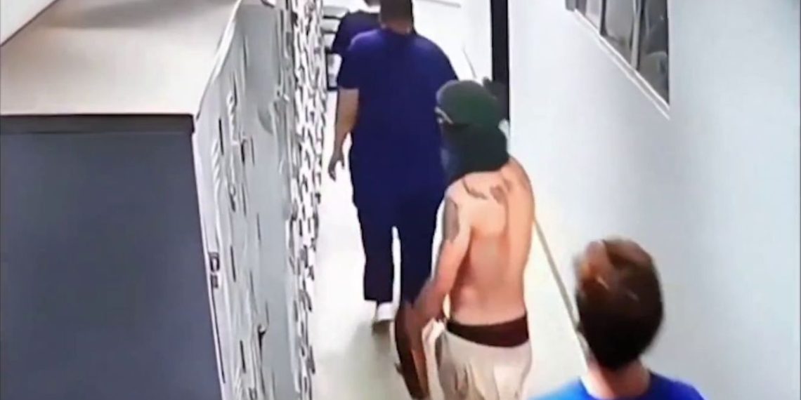 Na noite do último sábado (3), um homem armado com uma estaca de madeira invadiu o Hospital Veterinário da Universidade...