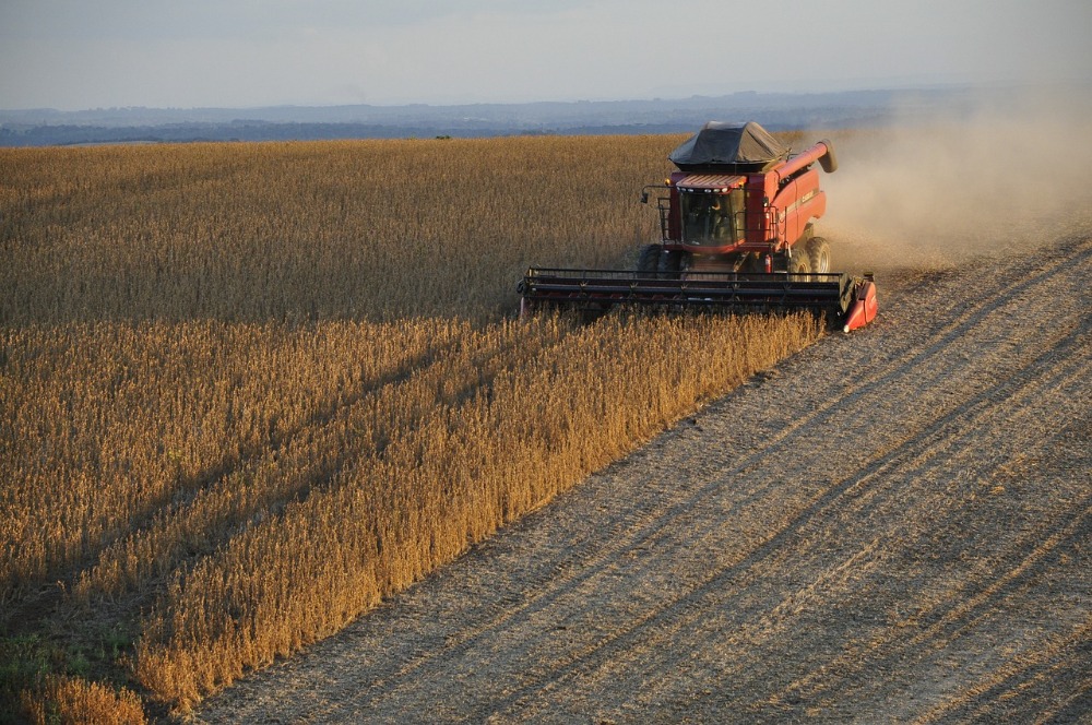 Agro cresceu 12,2% no 1º tri de 2025 e se destaca no PIB