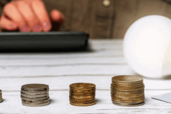 Aproximadamente 60 milhões de brasileiros serão beneficiados com a gratuidade na tarifa de energia elétrica. A inciativa faz parte do...