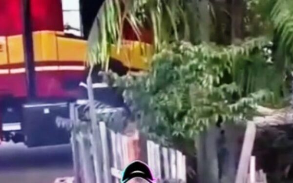 O que para muitos é uma brincadeira aparentemente inofensiva — soltar pipa, ou “papagaio”, como é conhecido no Pará —...