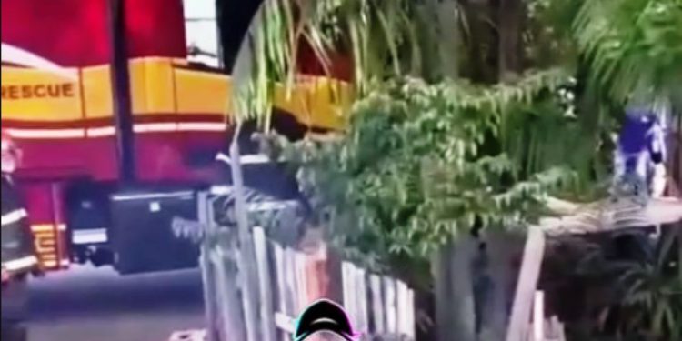 O que para muitos é uma brincadeira aparentemente inofensiva — soltar pipa, ou “papagaio”, como é conhecido no Pará —...