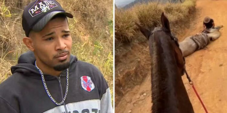 Um caso de crueldade contra animais ocorrido em Bananal, no interior de São Paulo, gerou forte repercussão nas redes sociais e foi noticiado por veículos nacionais, entre eles a CNN...