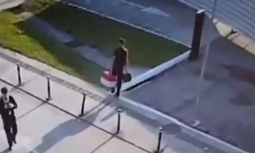 Um homem foi preso em flagrante após abandonar uma cadela de apenas 3 meses no Aeroporto Internacional de Florianópolis, em Santa Catarina, na quarta-feira (20). O tutor havia...