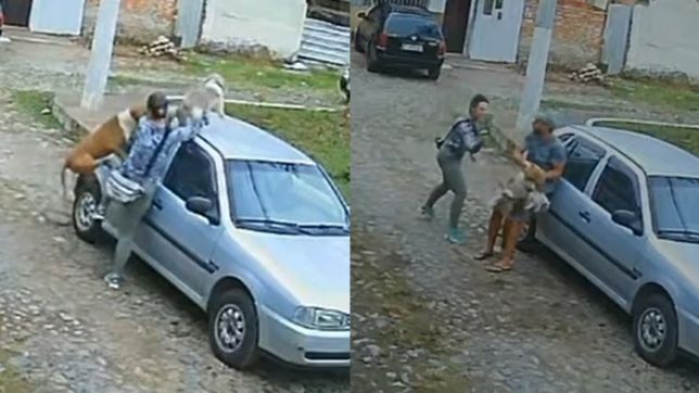 Um caso que chamou a atenção na cidade de Valença, no interior do Rio de Janeiro, terminou de forma trágica para dois cães na última...