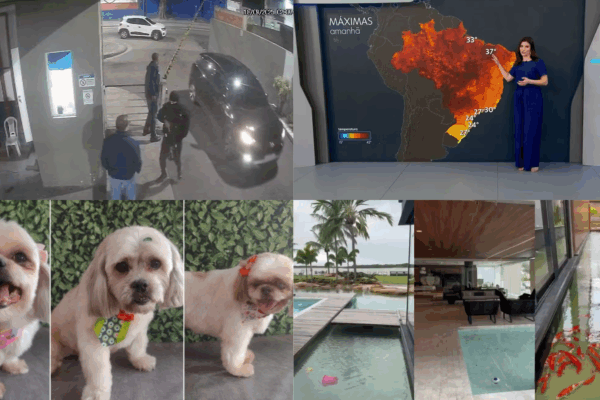 Onda de calor começa nesta quinta com expectativa de temperaturas acima de 40ºC. A sexta onda de calor do ano vai se instalar a partir desta quinta-feira (18)...